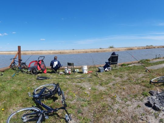 Ruthenstrom Krautsand-1