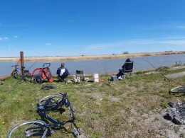 Ruthenstrom Krautsand-1