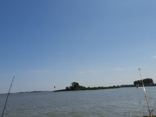 Ruthenstrom Krautsand-3