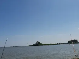 Ruthenstrom Krautsand-3