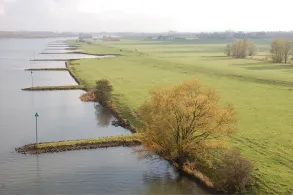 Nederrijn (Rhenen)-0