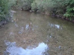 Brunner Ach/Mühlberger Ach