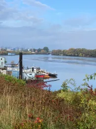 Spreehafen (Hamburg-Veddel)-1