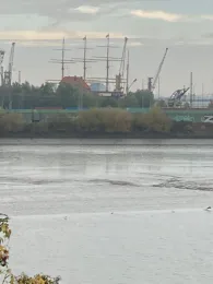 Spreehafen (Hamburg-Veddel)-3