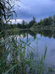 Kiesgruben Vogelsang-4