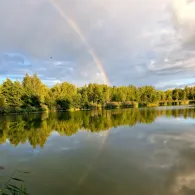 Kiesgruben Vogelsang