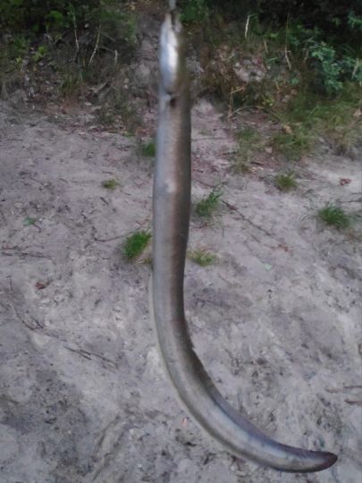 Finowkanal (Eberswalde)-4