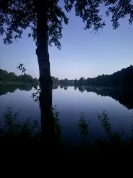 Hollesee-2