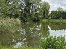 Dorfteich (Zapel)-1
