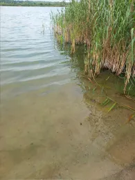 Stresower See (Aulosen)-2