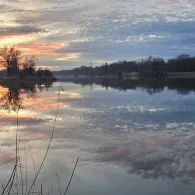 Donau (Neuburg an der Donau)-1