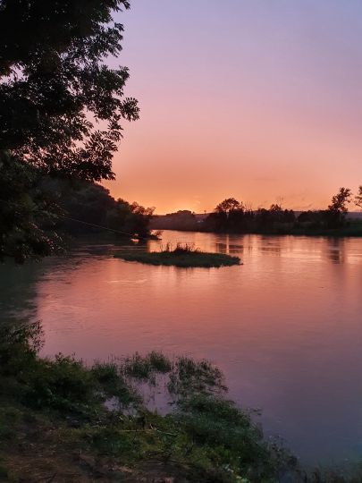 Donau (Neuburg an der Donau)-3