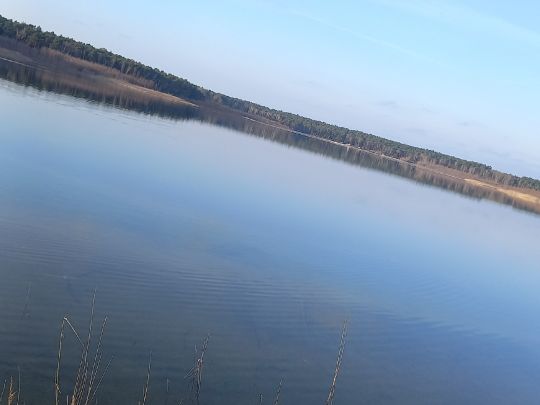 Briesensee (Spreewald)-2