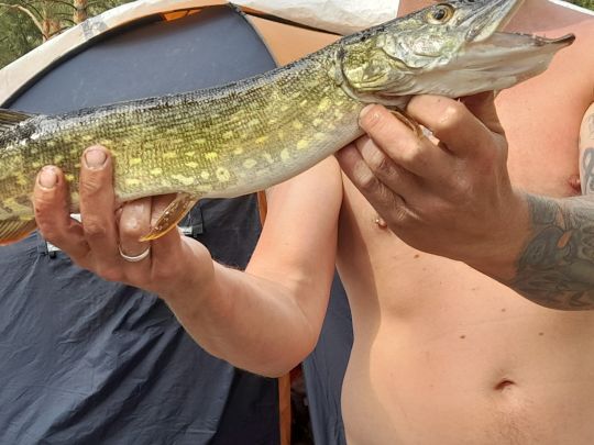 Briesensee (Spreewald)-4