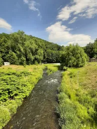 Freiberger Mulde (Roßwein)-2