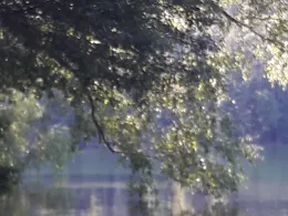 Kalksee (Binenwalde)-2