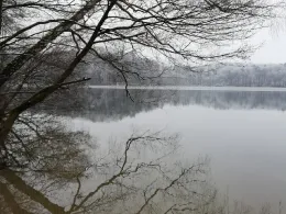 Kalksee (Binenwalde)-3