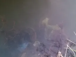 Müggelspree (Berlin-Wilhelmshagen)