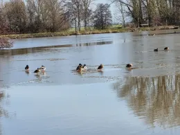 Landschaftssee Burgbernheim
