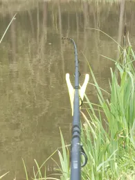 Oberndorfer Weiher (Erlangen)-1