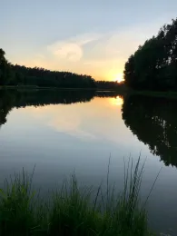 Oberndorfer Weiher (Erlangen)-2