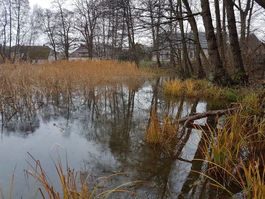 Mühlenteich (Alt Rosenthal)-1