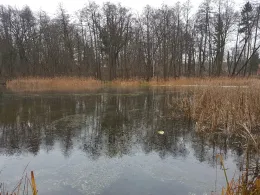 Mühlenteich (Alt Rosenthal)-0