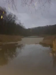 Mühlenteich (Alt Rosenthal)