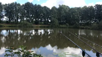 Kuhle in der Marsch (Wardenburg)-2