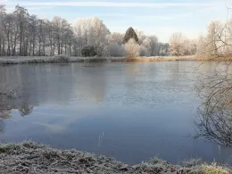 Kuhle in der Marsch (Wardenburg)