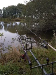 Kuhle in der Marsch (Wardenburg)-0