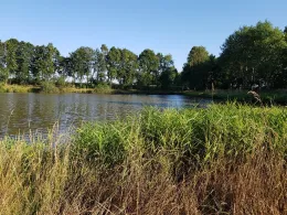 Kuhle in der Marsch (Wardenburg)-3