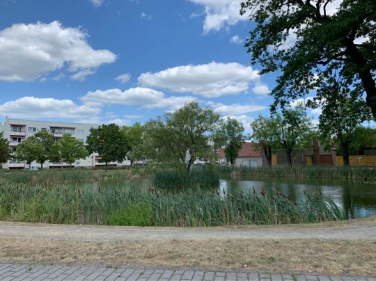 Springteich (Calau)-1