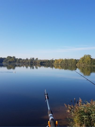 Löderburger See angeln
