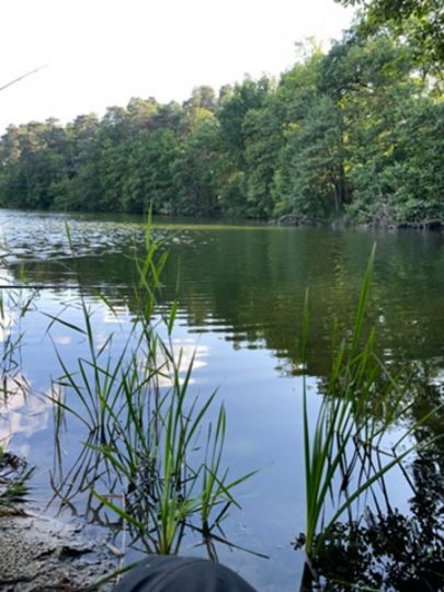 Schwanensee Kessel (Jamlitz)-2