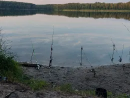 Schwanensee Kessel (Jamlitz)-1