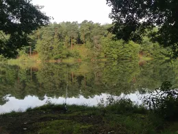 Schwanensee Kessel (Jamlitz)-3