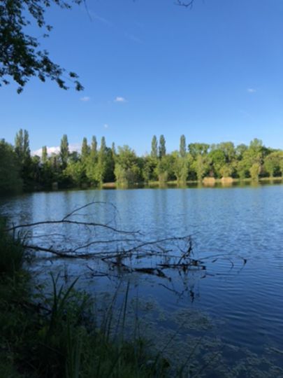 Schwalbensee (Spich)-4