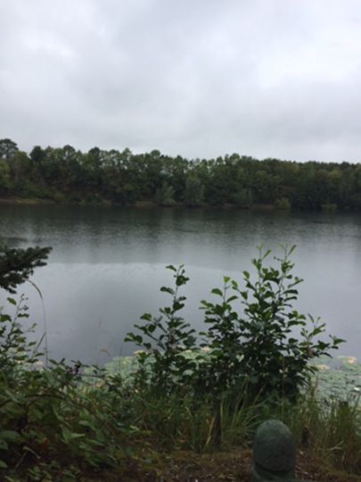 Schwalbensee (Spich)-3