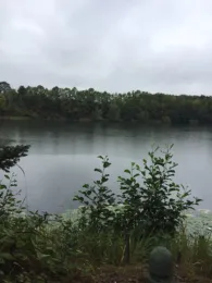 Schwalbensee (Spich)-3