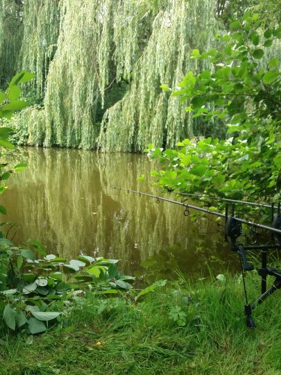 Inselteich (Gescher) ALLE ANGELN