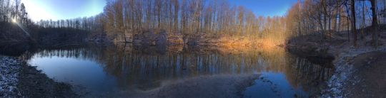 Steinbruch (Zeisigwald)-2