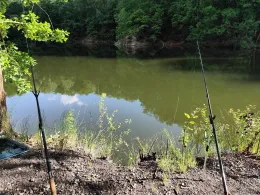 Steinbruch (Zeisigwald)