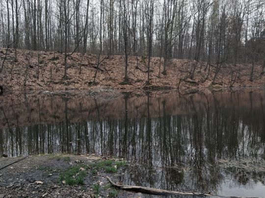 Steinbruch (Zeisigwald)-3