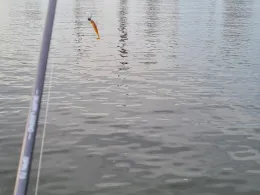 Bremen Industriehafen-3