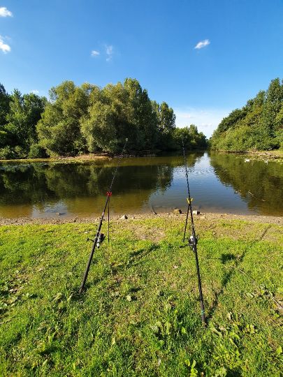 Maulbeerauer Altrhein-4