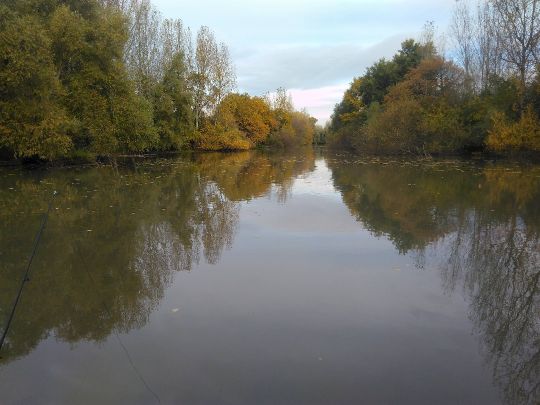 Maulbeerauer Altrhein-2