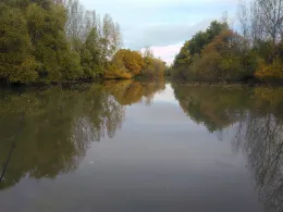 Maulbeerauer Altrhein-2