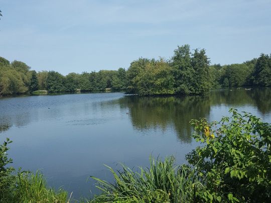 Quellenteich (Braunschweig)-2