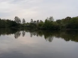 Quellenteich (Braunschweig)